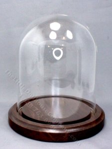 (image for) Glass Dome Bell Jar