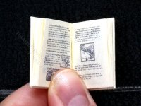 (image for) Miniature Book: Beatrix Potter's 'The Tale of Mr.Tod'