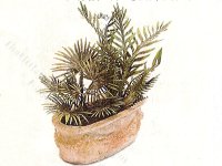 (image for) Miniature House Palms Leaves Kit