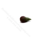 (image for) Miniature Avocado by Charlotte Willmott