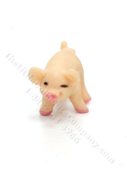 (image for) Half-Scale Miniature Pig for Dollhouses