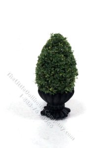 (image for) Miniature 2" Spruce Tree Topiary in Black Planter Pot