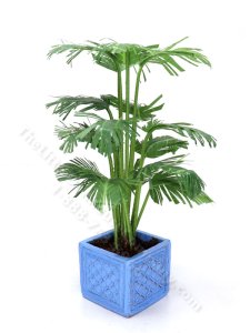 (image for) Miniature Potted Parlour Palm by Mini Creations by Judy