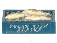 (image for) Miniature Box of Fresh Fish