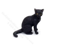 (image for) Miniature Black Domestic Shorthair Cat Karl Blindheim