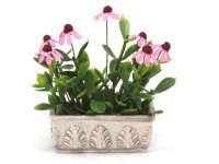 (image for) Miniature Purple Cone Flowers in Box by Mini Creations by Judy