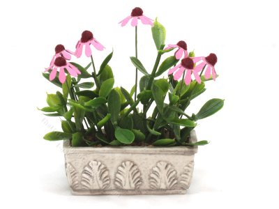 (image for) Miniature Purple Cone Flowers in Box by Mini Creations by Judy