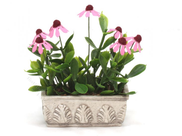 (image for) Miniature Purple Cone Flowers in Box by Mini Creations by Judy