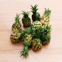 Miniature Pineapple