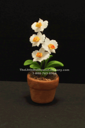 (image for) Dollhouse Miniature White and Orange Daffodil