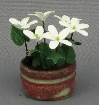 (image for) Dollhouse Miniature White Tuberose