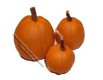 (image for) Pumpkins by Amy Robinson of All Through the House