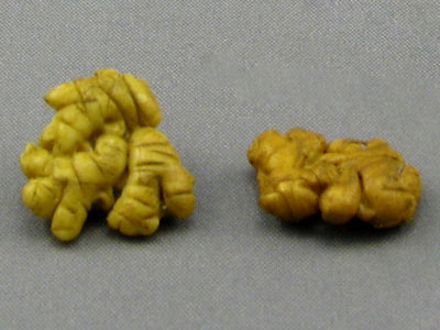 (image for) Dollhouse Scale Model Ginger