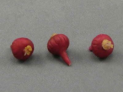 (image for) Dollhouse Scale Model Shallot