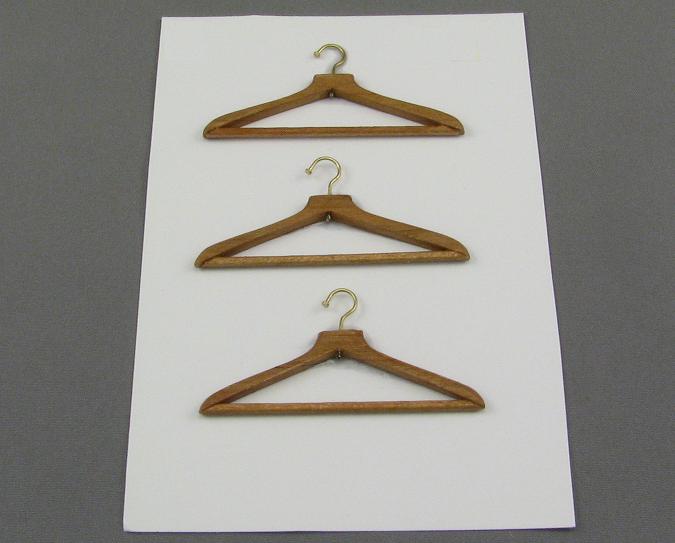 (image for) Clothing Hangers by Judith Blondell