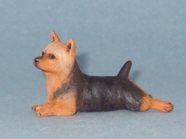(image for) Miniature Laying Australian Terrier by Karl Blindheim