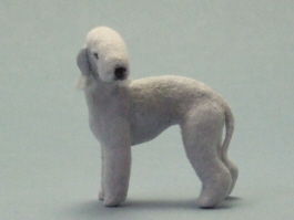 (image for) Miniature Standing Bedlington Terrier by Karl Blindheim
