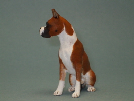 (image for) Miniature Sitting Red and White Male Boxer by Karl Blindheim