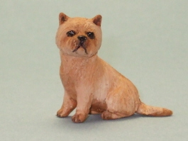 (image for) Miniature Sitting Red Cairn Terrier by Karl Blindheim