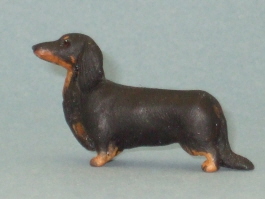 (image for) Miniature Long-Haired Dachshund by Karl Blindheim