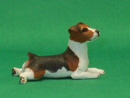 (image for) Miniature Laying Jack Russell Terrier by Karl Blindheim