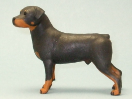 (image for) Miniature Standing Male Rottweiler by Karl Blindheim