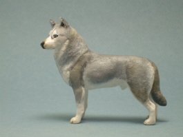 (image for) Miniature Standing Grey Male Siberian Husky by Karl Blindheim
