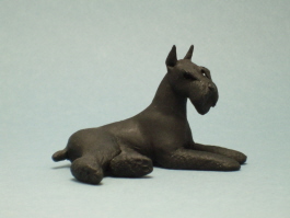 (image for) Miniature Laying Black King Schnauzer by Karl Blindheim