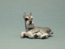 (image for) Laying Curling Schnauzer ( Miniature ) by Karl Blindheim