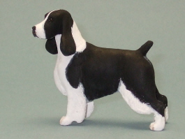 (image for) Miniature Standing Female English Springer Spaniel