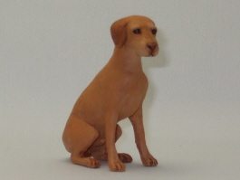 (image for) Miniature Sitting Wire-Haired Female Viszla by Karl Blindheim