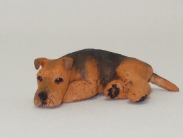 (image for) Miniature Laying Welsh Terrier by Karl Blindheim