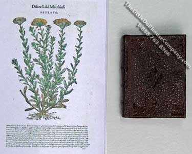 (image for) Miniature Book: Pietro Andrea Mattioli, 'I Discorsi' 1568