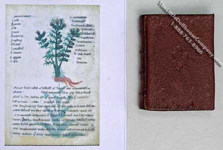 (image for) Miniature Book: 'De Virtutibus Bestiarum In Arte Medicinae'