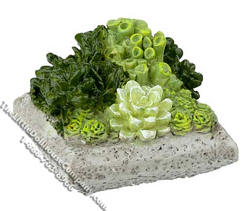 (image for) Dollhouse Scale Model Low Square Resin Succulent Plant