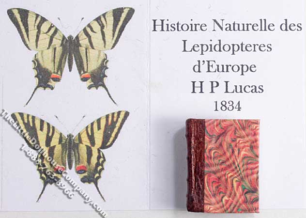 (image for) Miniature Book: 'Histoire Naturelle des Lépidoptères'