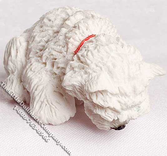 (image for) Miniature West Highland Terrier, Looking At Something
