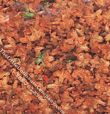 (image for) Bag of Miniature Orange Fall Leaves for Dollhouses