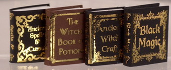 (image for) Miniature Witches Reference Book Set