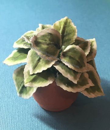 (image for) Miniature Large Hostas Kit For Dollhouses
