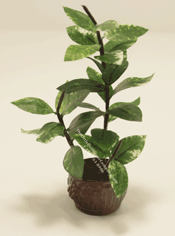 (image for) Miniature Rubber Plant For Dollhouses