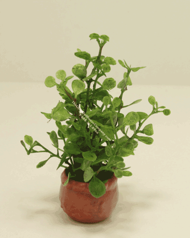 (image for) Miniature Round Leaf Plant For Dollhouses