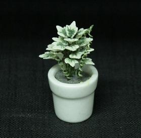 (image for) Flowers in White Pot