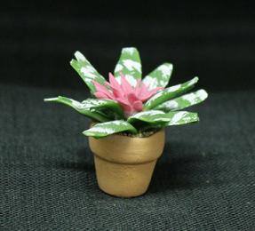 (image for) Flowers in Pot
