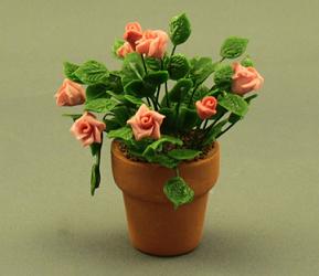 (image for) Pink Roses in a Pot