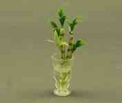 (image for) Hallway Runner