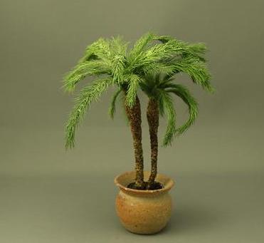 (image for) Palms in Pot