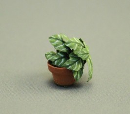 (image for) 1/2" Plant in Pot