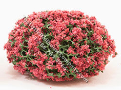 (image for) Miniature 1/2 inch Red Mound Bush (5 pcs) for Dollhouses