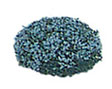 (image for) Miniature 3/4" Blue Mound Bush (5 pcs) for Dollhouses